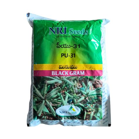 PU 31 Black Gram Seeds - NRI | Buy Online at Best Price - DesiKheti ...