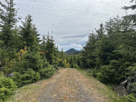 0 Sugarloaf Rd, Seaside, OR 97138 | MLS #23320871 | Zillow