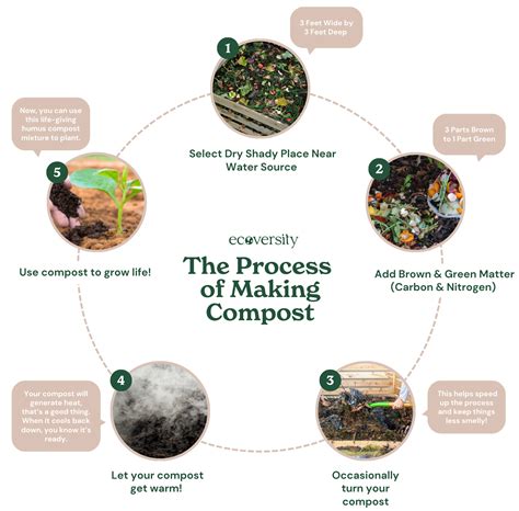 Image result for Compost Making Tutorial
