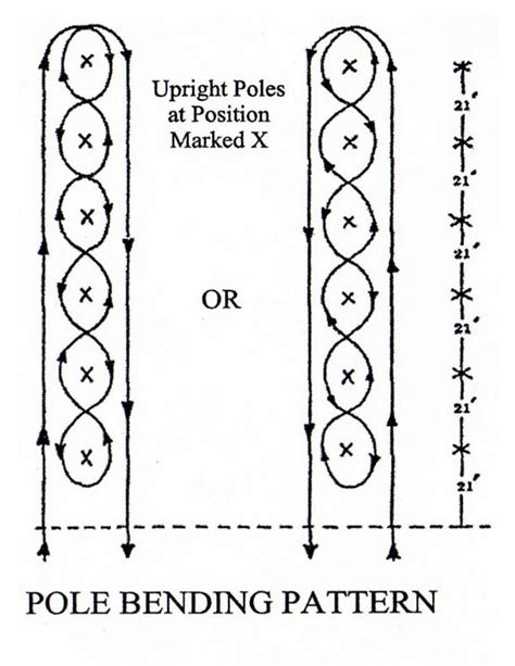 Image result for Pole Bending Tips