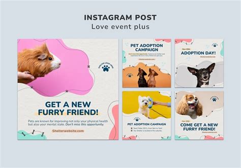 Pet adoption instagram posts | Free PSD