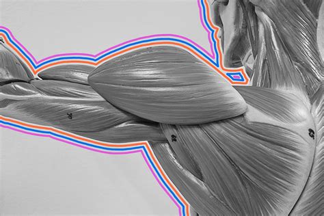 6 Fascinating Facts About Emily Dickinson - Interesting Facts