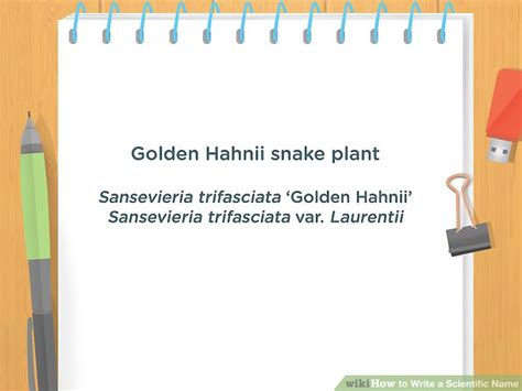 Image result for Scientific Name Example