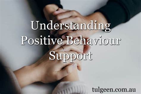 Image result for Positive Behaviour Support Example