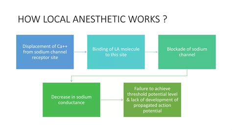 Local Anesthesia Examples 的图像结果
