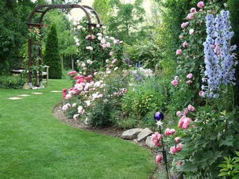 mein Rosenbeet - Gartenbilder | Rosen beet, Garten, Staudengarten