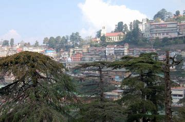 Family Getaway 3 Days Jakhu Temple Honeymoon Vacation Package | Shimla ...
