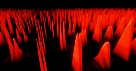 Quantum Computer Simulation 的图像结果