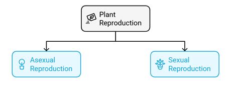 Plant Life Important Notes - Class 5 Science - Complete Learning ...