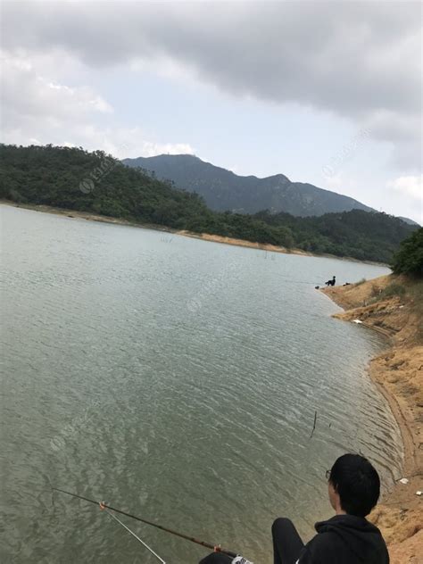 珠海市大镜山水库水质改善项目 - 水源地水质保护