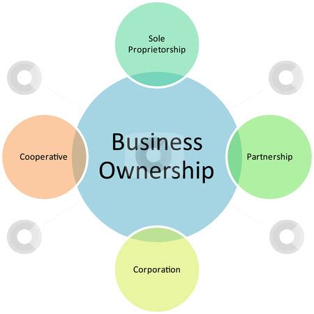 Ownership Structure Types 的图像结果