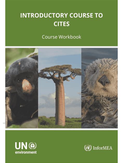 Image result for Code.org Lesson 8.1 Library Make Part 1