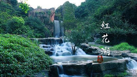 2020年惠州最全旅游出行攻略（囊括所有热门景点） - 知乎