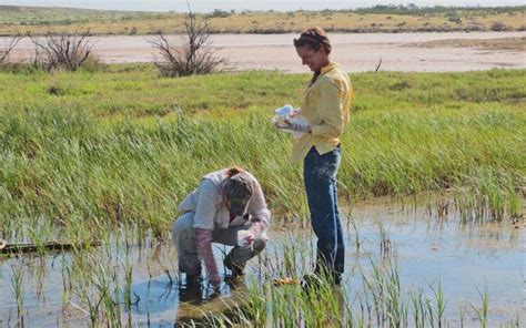Environmental Quality 的图像结果