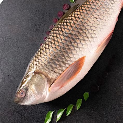 River Rohu Whole 3.5–4 Kg | Buy Fresh Rohu Fish – Pick Fresh Fish