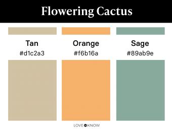 Nature Color 的图像结果