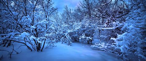 Winter 4k Ultrawide Wallpapers - Wallpaper Cave