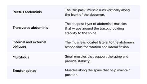 Inner Core Muscle 的图像结果