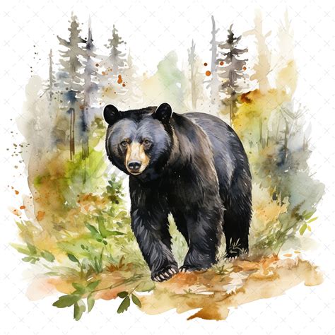 19 High-quality Black Bear Clipart Black Bear Digital - Etsy