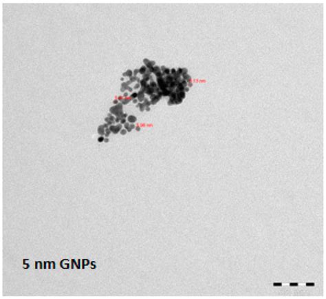 Histopathology of the Liver, Kidney, and Spleen of Mice Exposed to Gold ...
