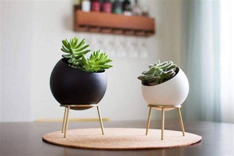 Image result for Creative Flower Pots