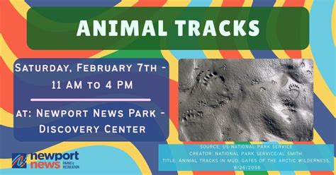 Animal Tracks, 13560 Jefferson Avenue, Newport News, VA, United States ...