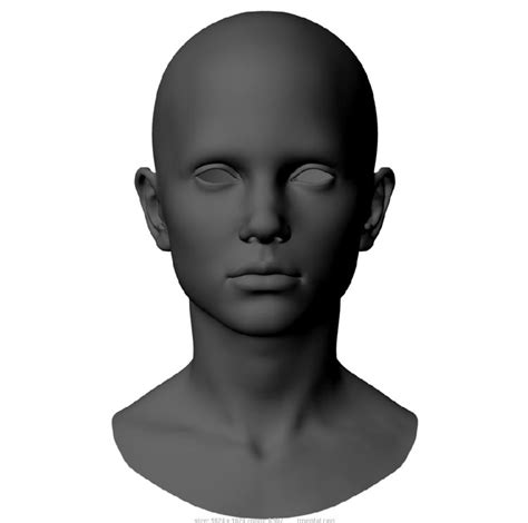 Maya Human Head 的图像结果