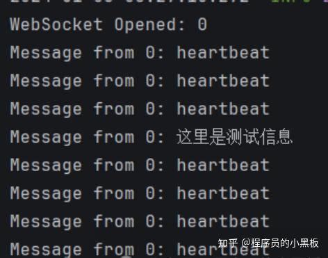 WebSocket Minecraft 的图像结果