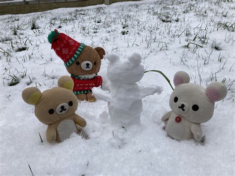 The bears made a snow bear : rilakkuma