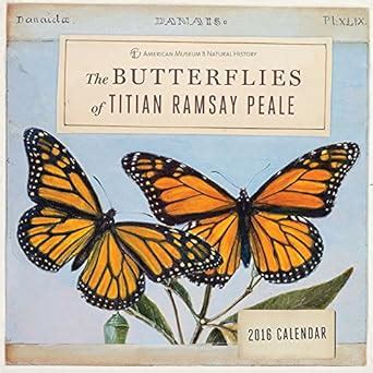 Butterflies of Titan Ramsay Peale 2016 Wall Calendar : Peale, Titian ...