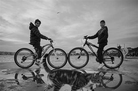 Cycling Images. Free 的图像结果