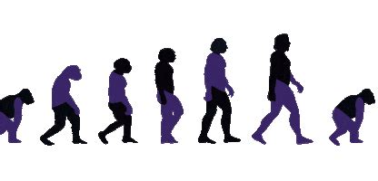 Image result for Evolution Fun Animation