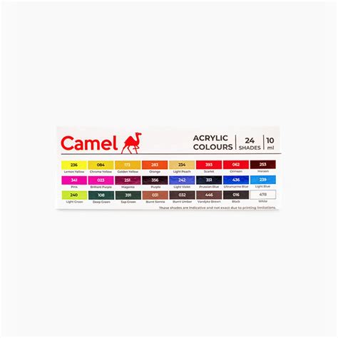 Camel Acrylic Colours | Assorted pack of 24 shades | 10 ml