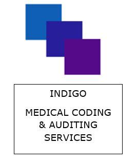 Image result for Coding Show Indigo Code