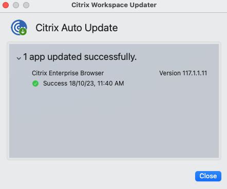 Image result for Citrix Workspace Updater Service