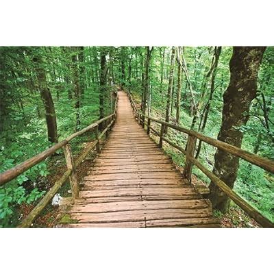 Vinyl Custom Photography Backdrops Prop Christmas | Ubuy India