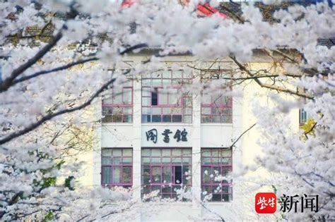 2020年寒假北京大学参观时间 北京大学预约参观攻略_旅泊网