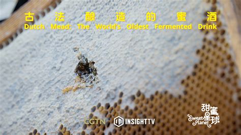 Dutch Mead: The world's oldest fermented drink - CGTN