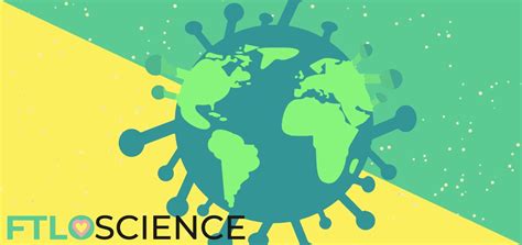 Writing a Lab Report 的图像结果