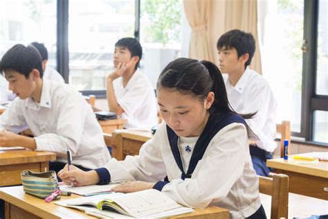 国际高中篇—上海领科双语学校 - 知乎