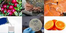 prevenzione alimentare l educazione per prevenire l intolleranza alimentare prevenzione alimentare l educazione per prevenire l intolleranza alimentare