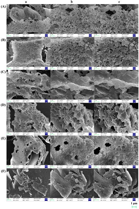 Study of the Structure and Bioactivity of Polysaccharides from ...