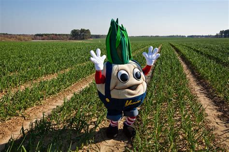 Vidalia Onion Festival Times at Robert Lindsay blog