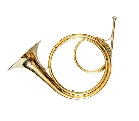 Horn Instrument Musical at Larry Cunningham blog