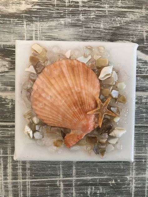 Image result for Scallop Shell Crafts
