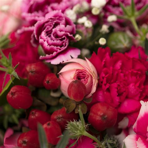 Endless Love – The Flora