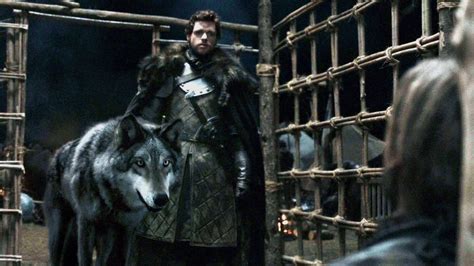 Game of Thrones Dire Wolf Wallpapers - Top Free Game of Thrones Dire ...
