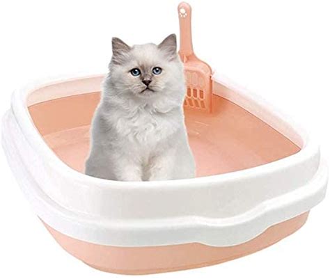 6 Best cat litter box of 2025 in India, According To Experts