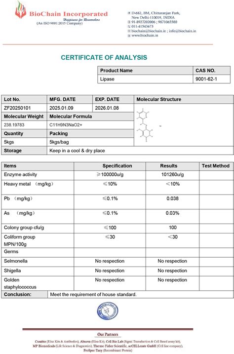 Lipase Manufacturer in India