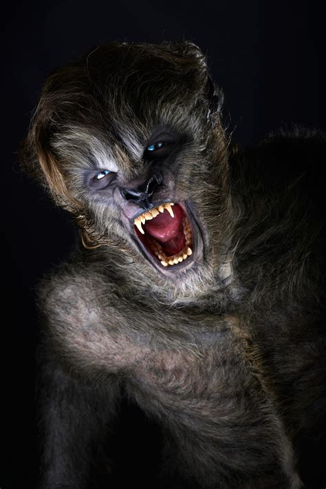 Image result for Wolves Film